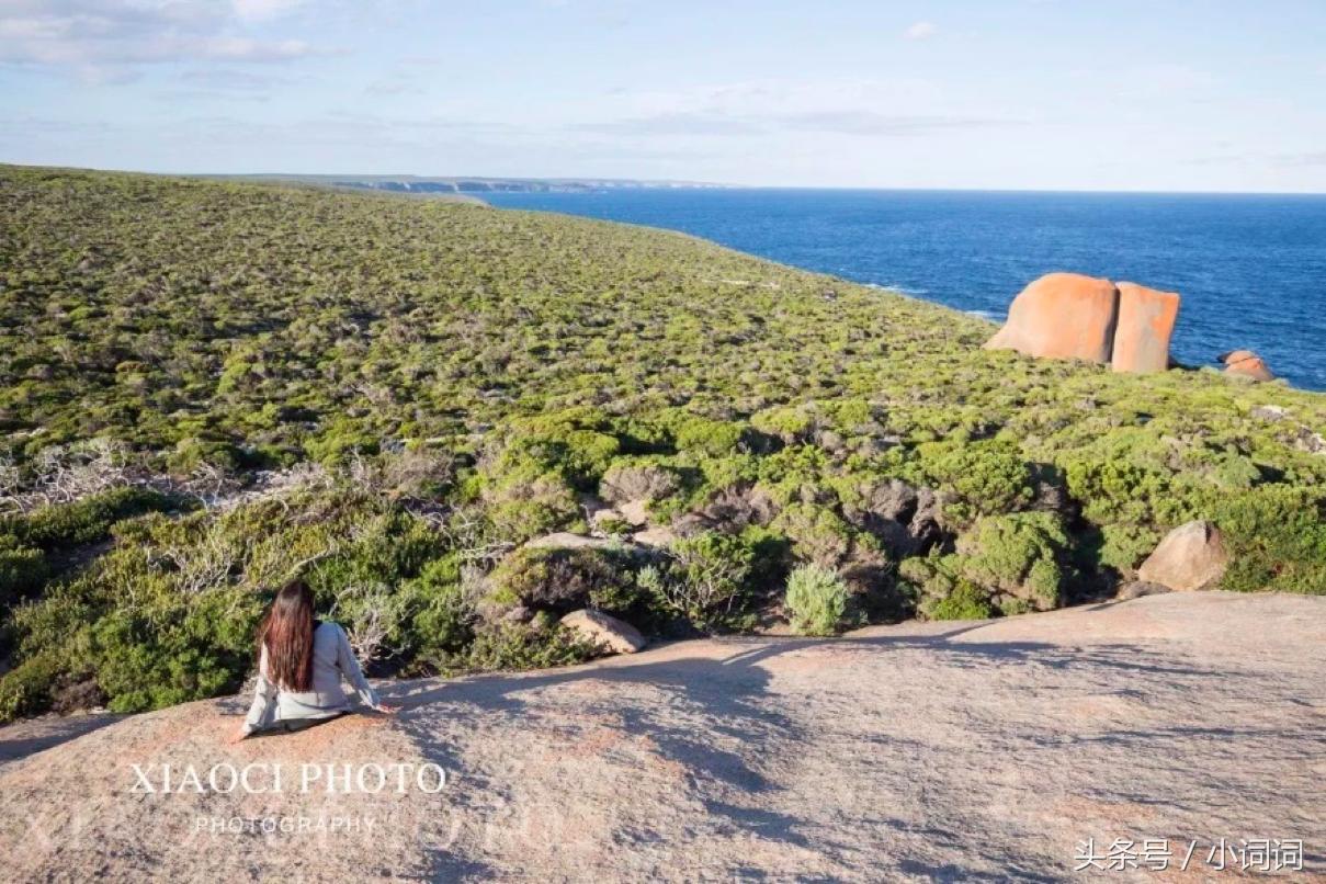 玩转南澳大利亚，这篇最全旅行攻略一定可以帮到你