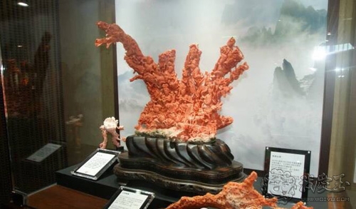 红珊瑚介绍,真正的红珊瑚是什么样的