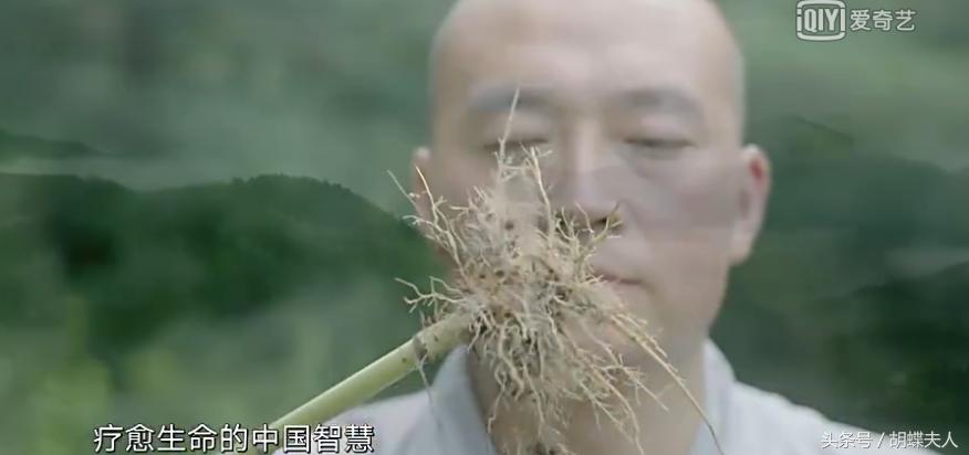 冬虫夏草？灵芝？枸杞？续断？《本草中华：相传》感受深情与传承