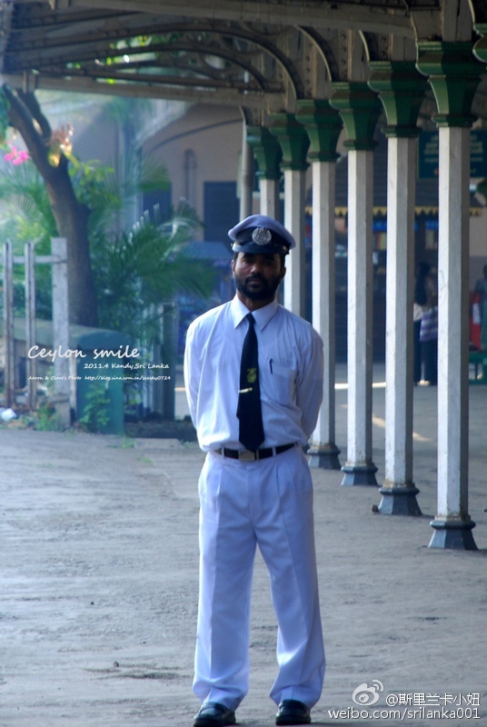 新手小白入门指南买茶小技巧,小白学茶的100个基础