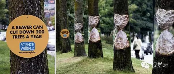 这些冷知识你都知道的吗,这些冷知识你都知道吗