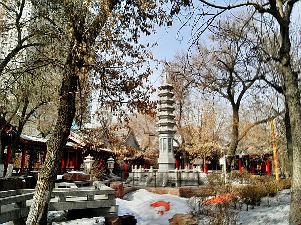 两位60岁老人去旅游,60后老俩口自驾穿越罗布泊无人区