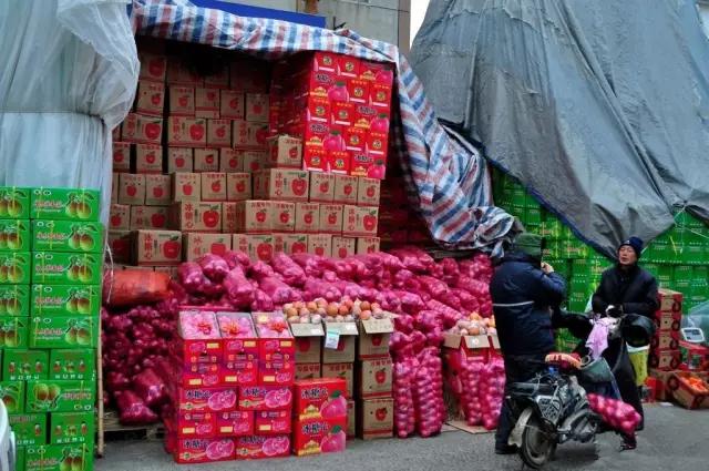 娲涢槼鐢熸椿鏀荤暐,娲涢槼鏈湴鐢熸椿鎸囧崡