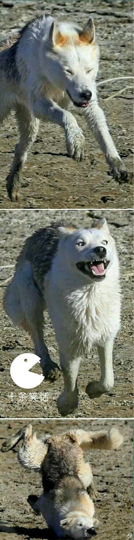 调侃国足出线的顺口溜虽败犹荣,国足出线形势分析搞笑