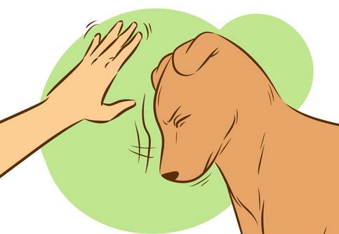 如何让陌生的狗狗喜欢自己,如何让刚到家的狗狗和自己亲近