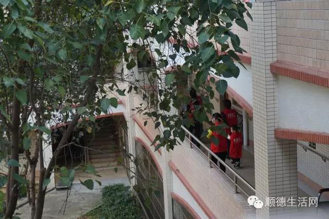 春暖花开暖意浓浓,春暖花开养老院