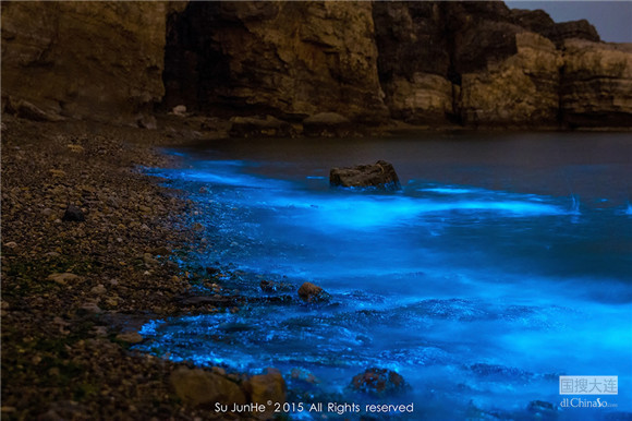 大连的海介绍,大连那边有什么海