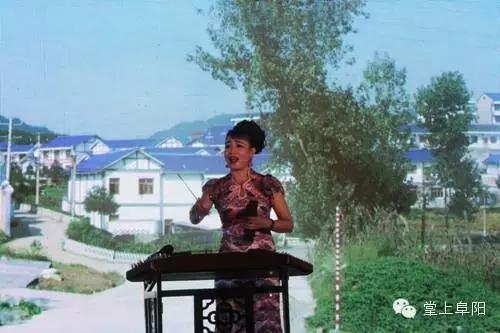 阜阳哪个乡镇有好看的风景,阜阳最美村庄排名第一的是哪个