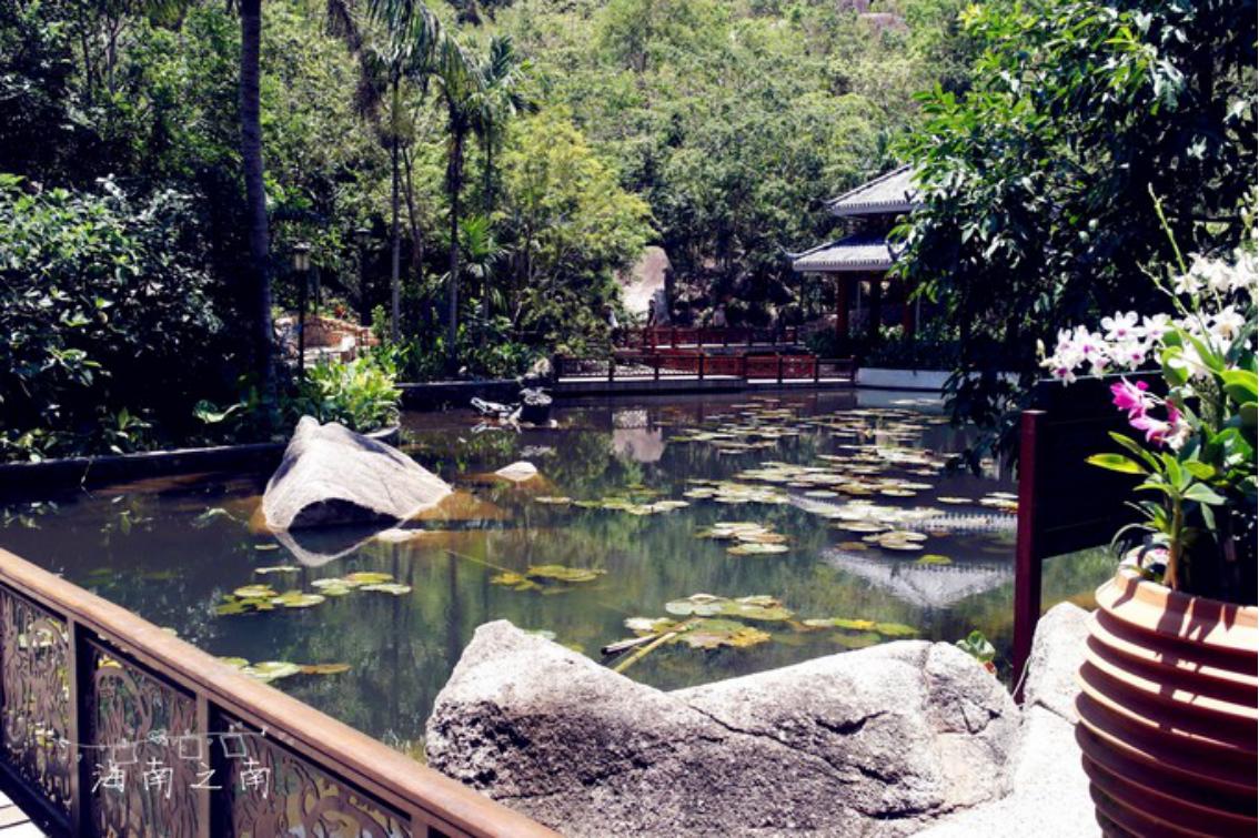 穿过云海后的美景,穿过云海看美景