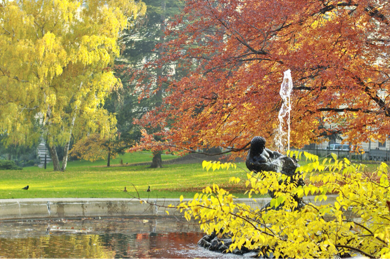 年入百万美女主播欧洲疯狂购买大牌包包，看完觉得她有钱好任性!
