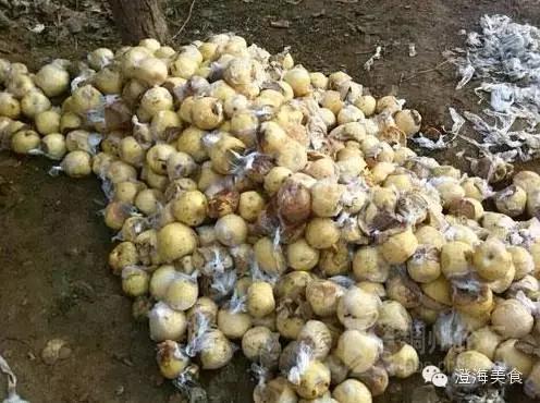 这些水果分分钟会毒死我们,看看吧.....