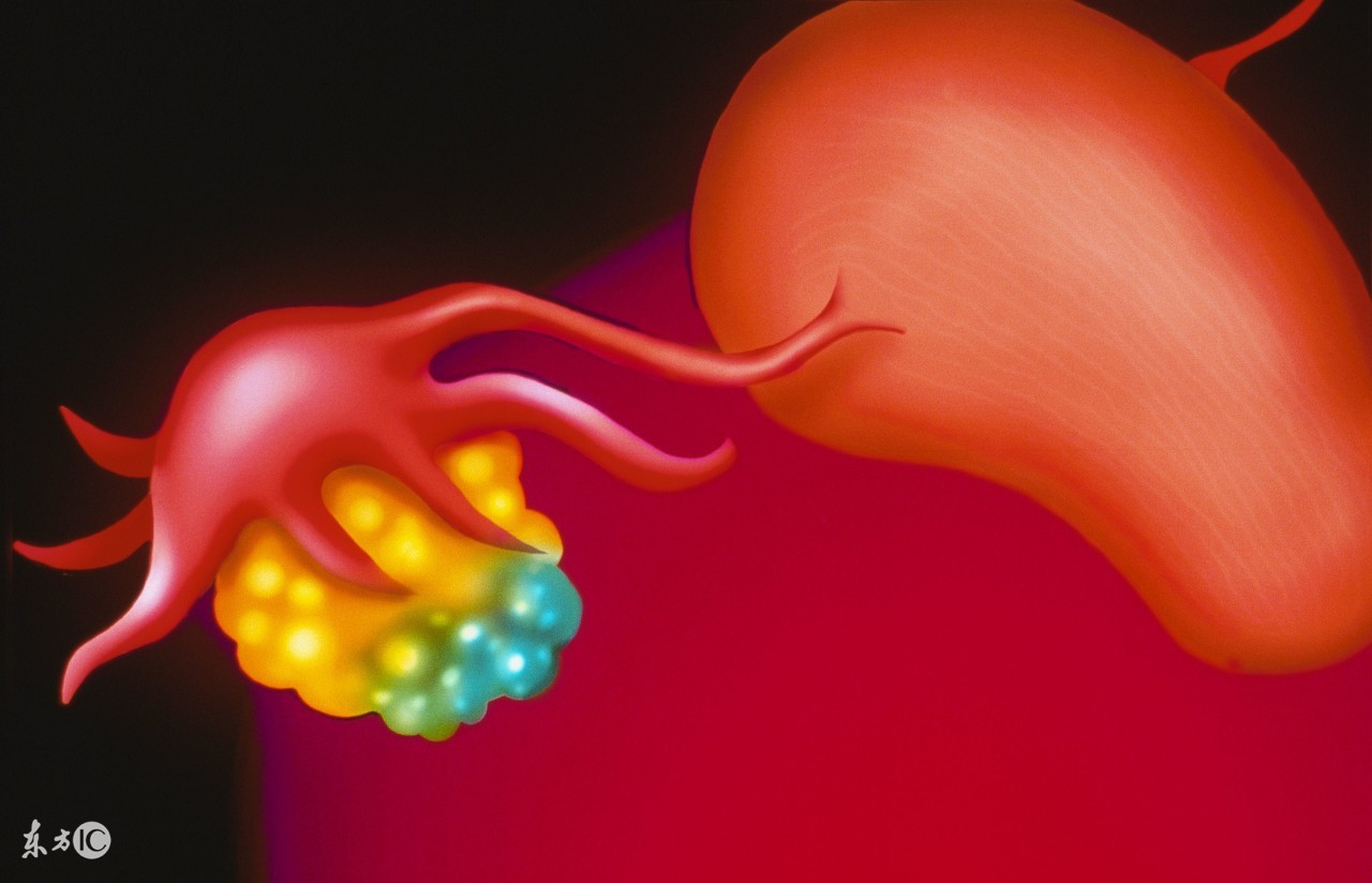 女性患宫颈癌症能生育吗,女性癌症后可以生育嘛