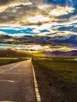 一封来自*藏西**的辞职信