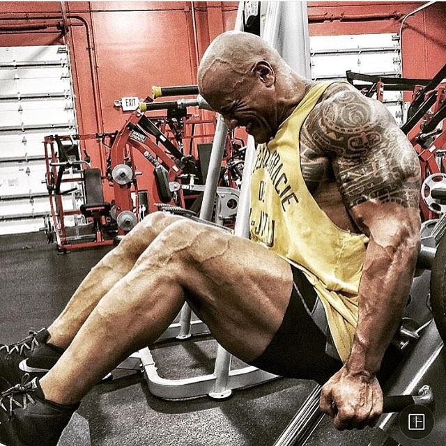 健身不练腿到老一场空5个动作提升腿部力量稳定根基绽放雄风