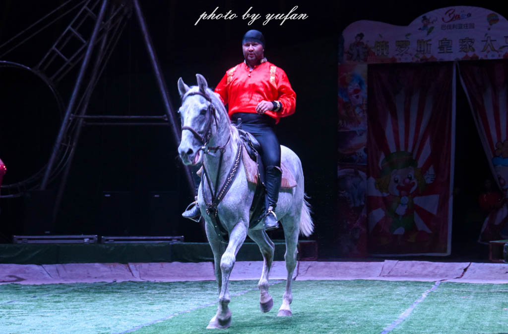 皇家大马戏巴伐利亚,广东哪里有大马戏