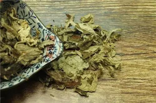 艾草是上天对人间的恩赐,艾草被誉为纯阳之草