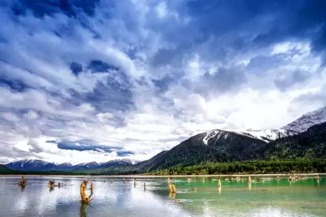 一封来自*藏西**的辞职信