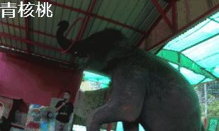 呼和浩特飞普吉岛,刷我滴卡泰国原版