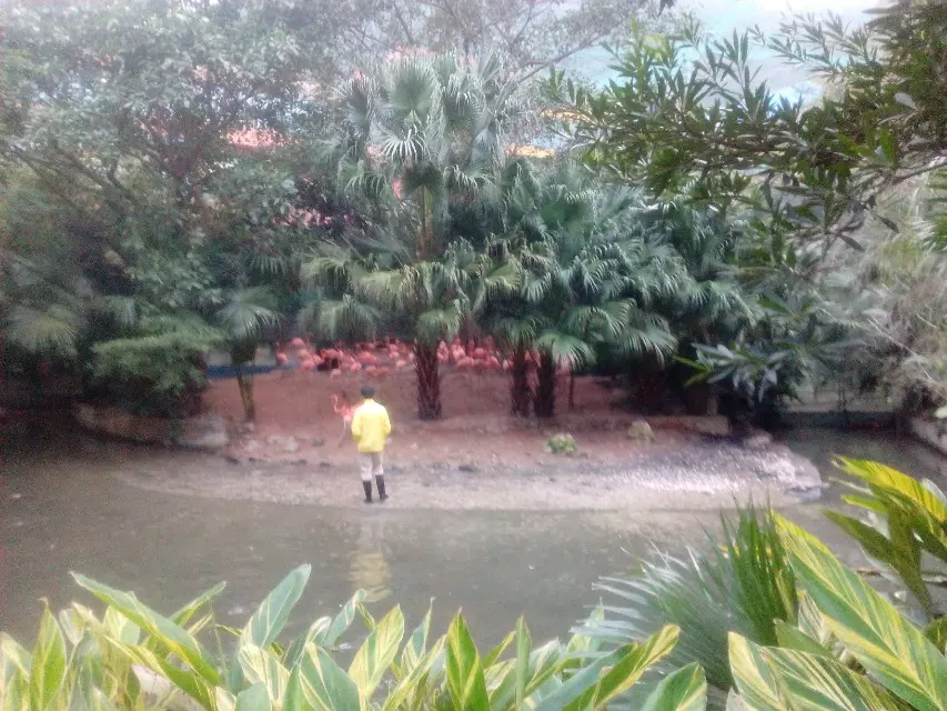 华侨城最好玩的项目,华侨城有哪些值得玩的地方