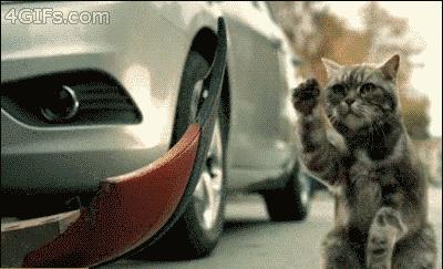 有一只会关心主人的喵星人可真好！