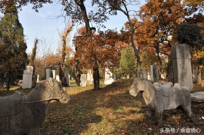 孔子的后代还可以葬入孔林吗,孔子现在的后人能葬孔林吗