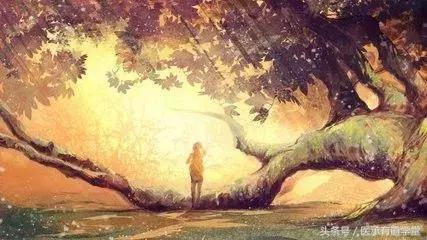 一个传统中医成长历程,一个青年的中医之路