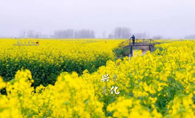 清明小长假出游提醒 (清明小长假微信消息)