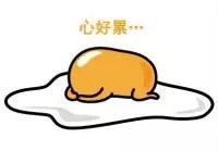 酒店式公寓建设规范,钱江新城大平层公寓