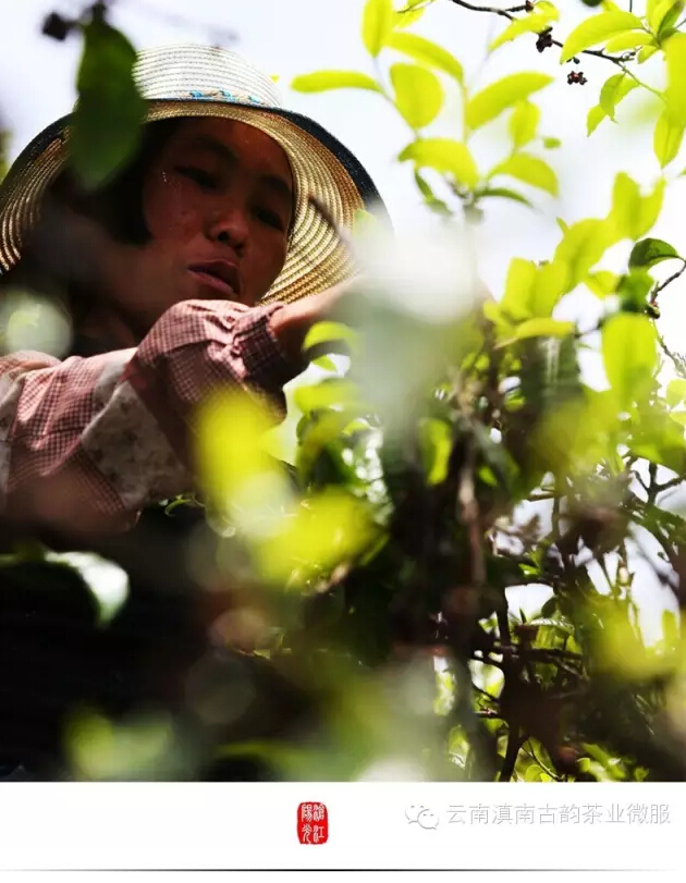 云南临沧美景图片,云南临沧旅行风景