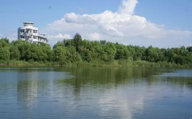 美在自然之中,美丽的嫩江湾美景图