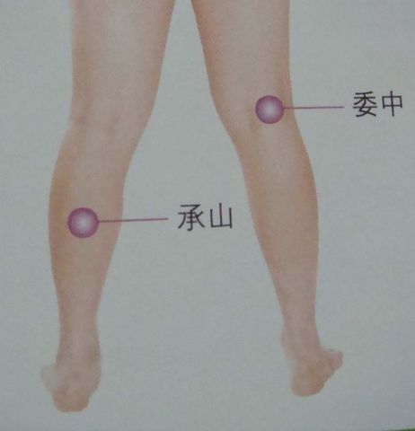 关于人体穴位图详解的书籍,人体12个最重要的穴位图片