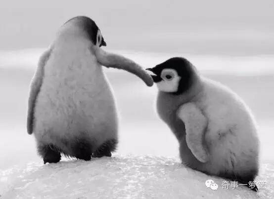 女生在酒店遭遇劫持,女孩深夜被劫持看她怎么反击