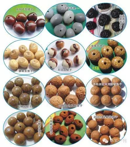 手串菩提子哪个品种好,最全的菩提子介绍
