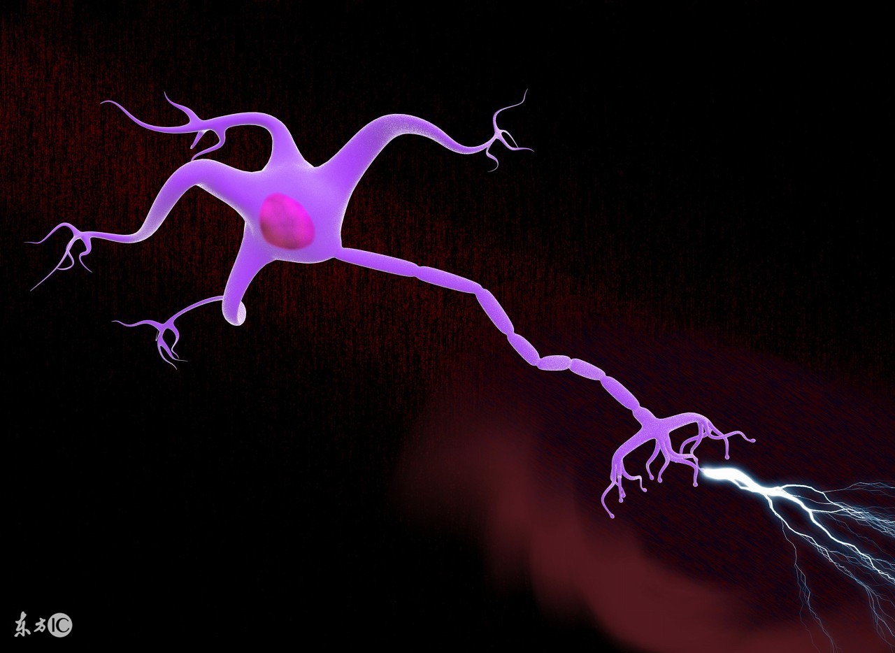 如何预防耳朵神经衰弱,神经衰弱的预防和治疗pdf