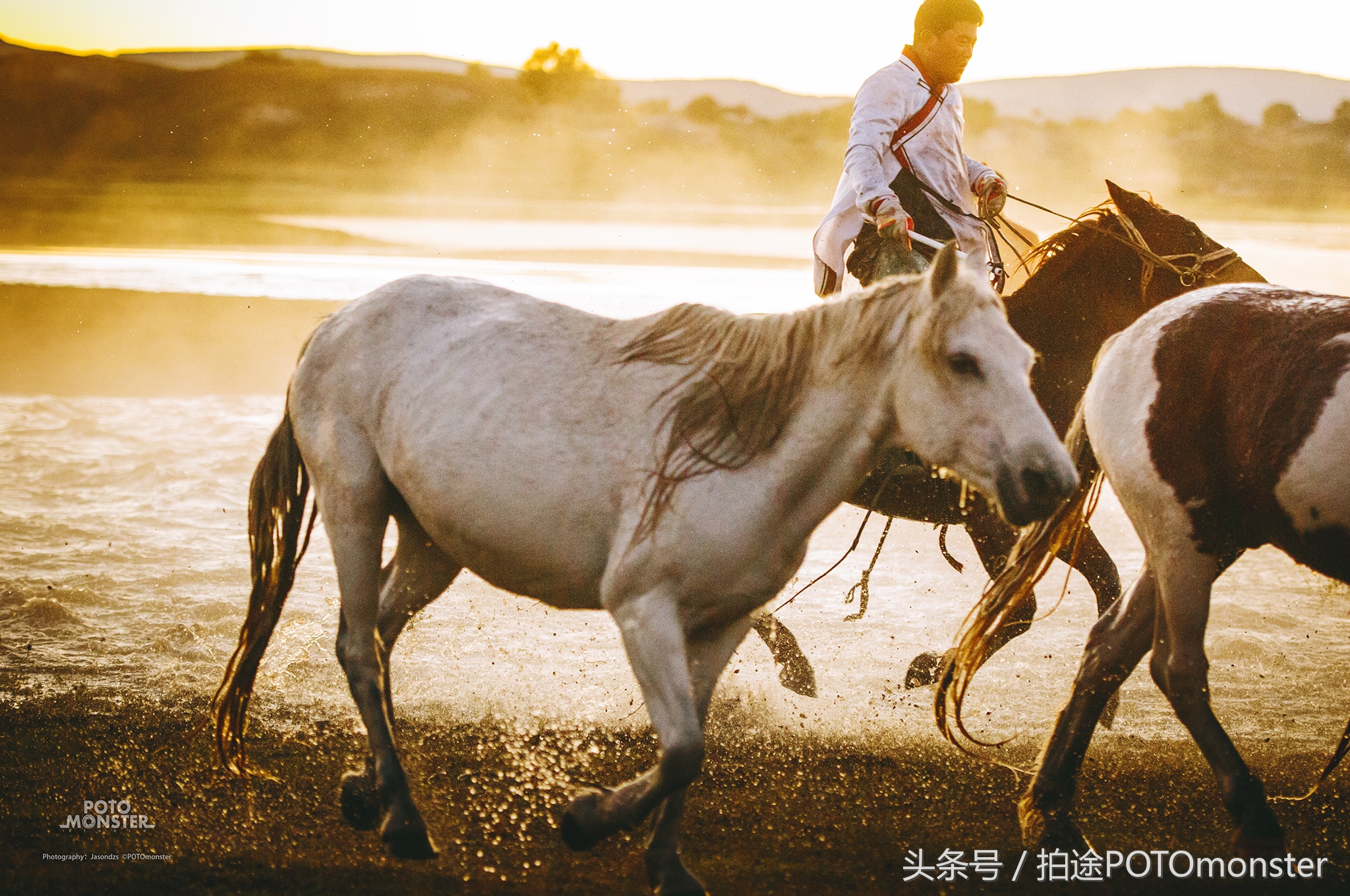 坝上草原奔马摄影作品,坝上草原拍奔马