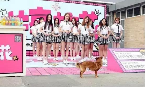 单身狗被榨干,没人在乎死活