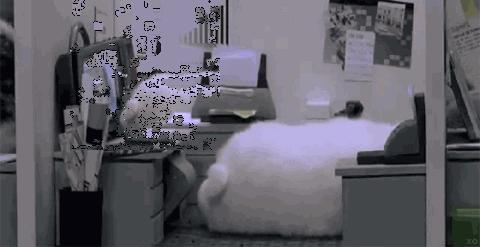 娉告步婀栨父鑸逛翰鐖辩殑瀹㈡爤,娉告步婀栦翰鐖辩殑瀹㈡爤涔嬫墦鍗℃媿鎽勫湴