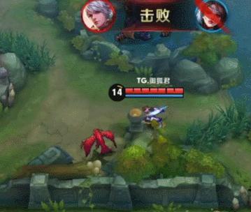 王者荣耀猴子bug视频,王者荣耀猴子bug英文