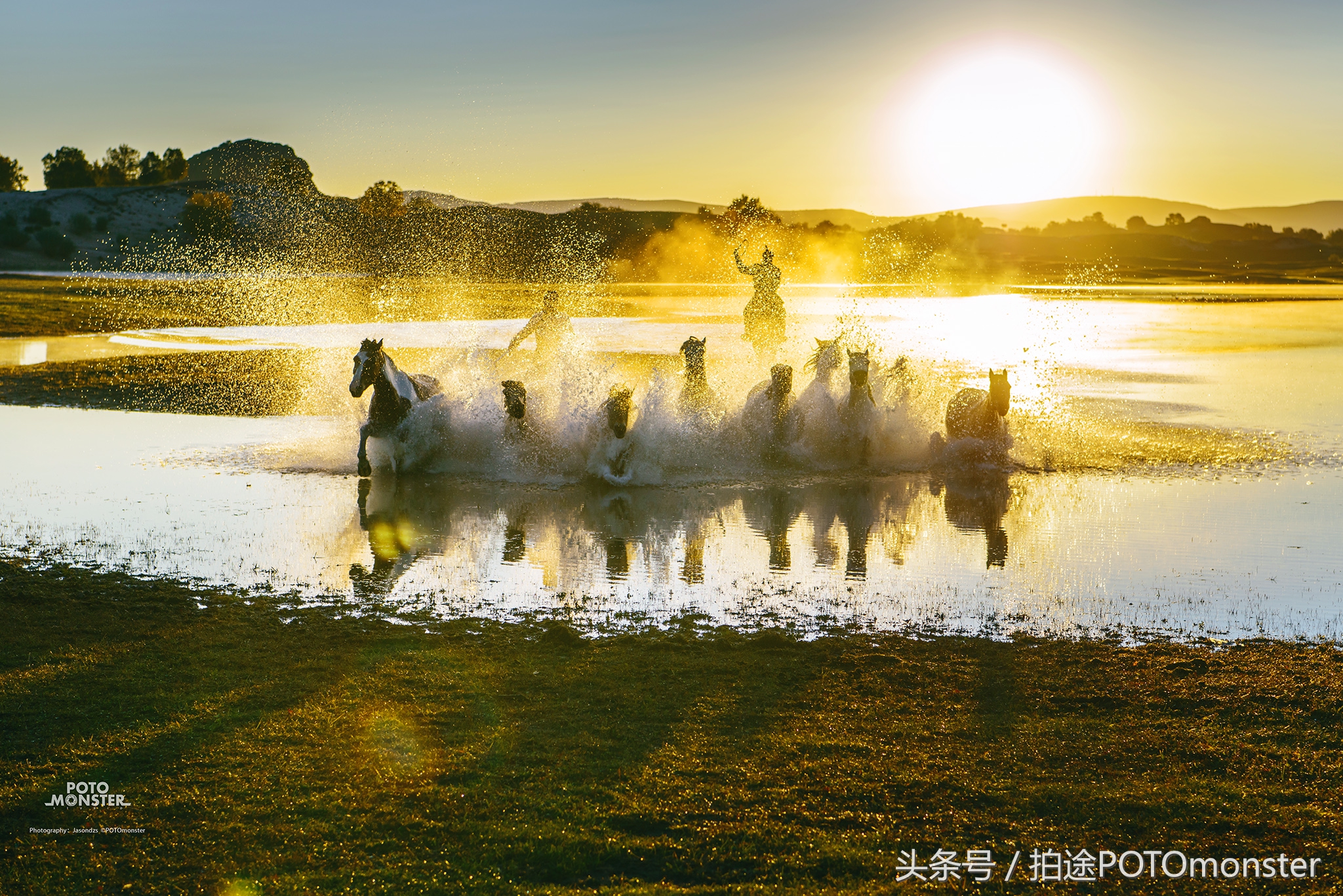 坝上草原奔马摄影作品,坝上草原拍奔马