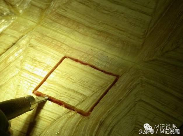 苏卡达陆龟乌龟卡脖子,苏卡达陆龟下颚裂开