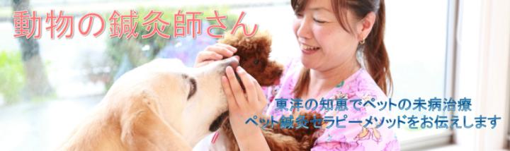 道格队长的训练,道格宠物训练