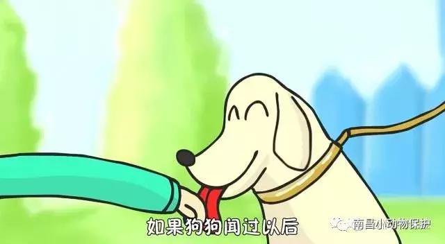 世界狂犬病日漫画,全球狂犬病爆发漫画