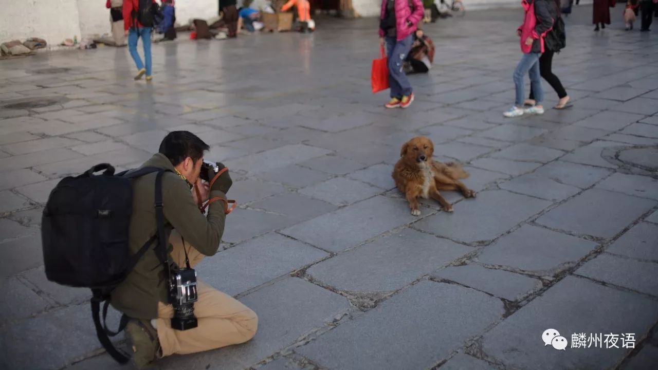 一样的街道不一样的心境,一样的街道不一样的风景