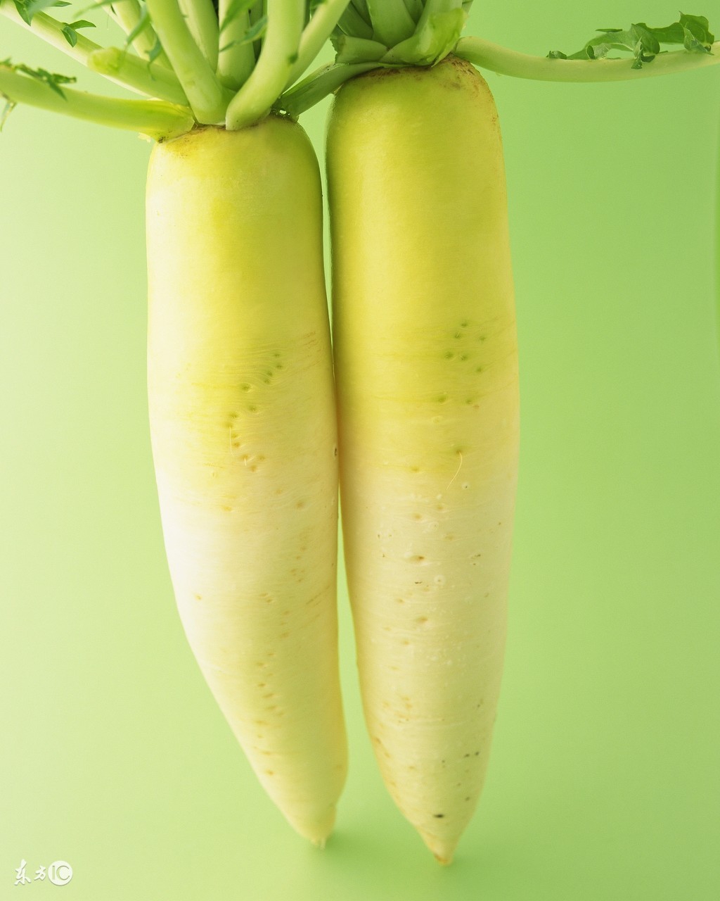 舌苔白又厚可以用盐水除掉吗,舌苔白用什么生姜