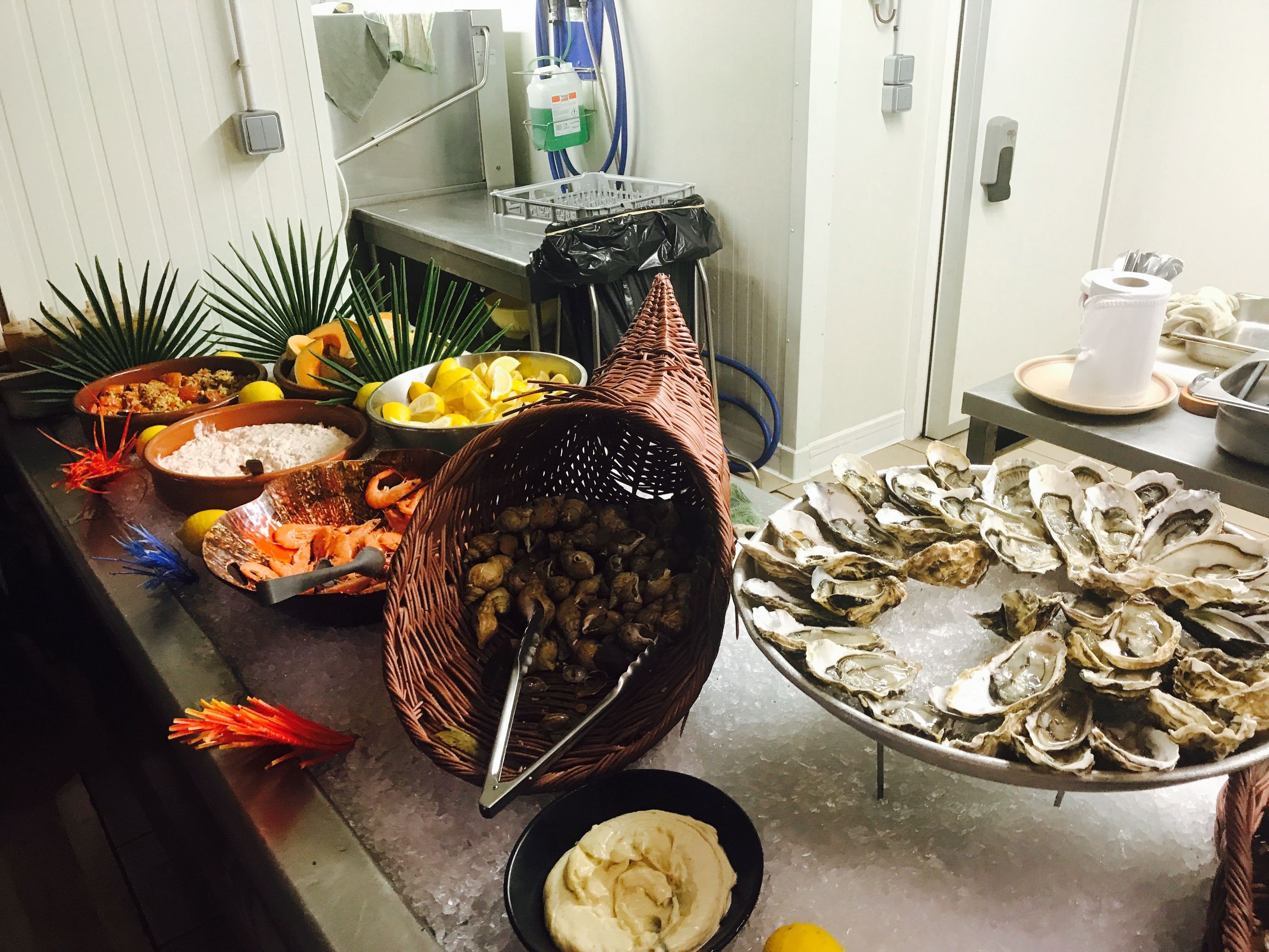 巴黎攻略免费观看,巴黎两天攻略