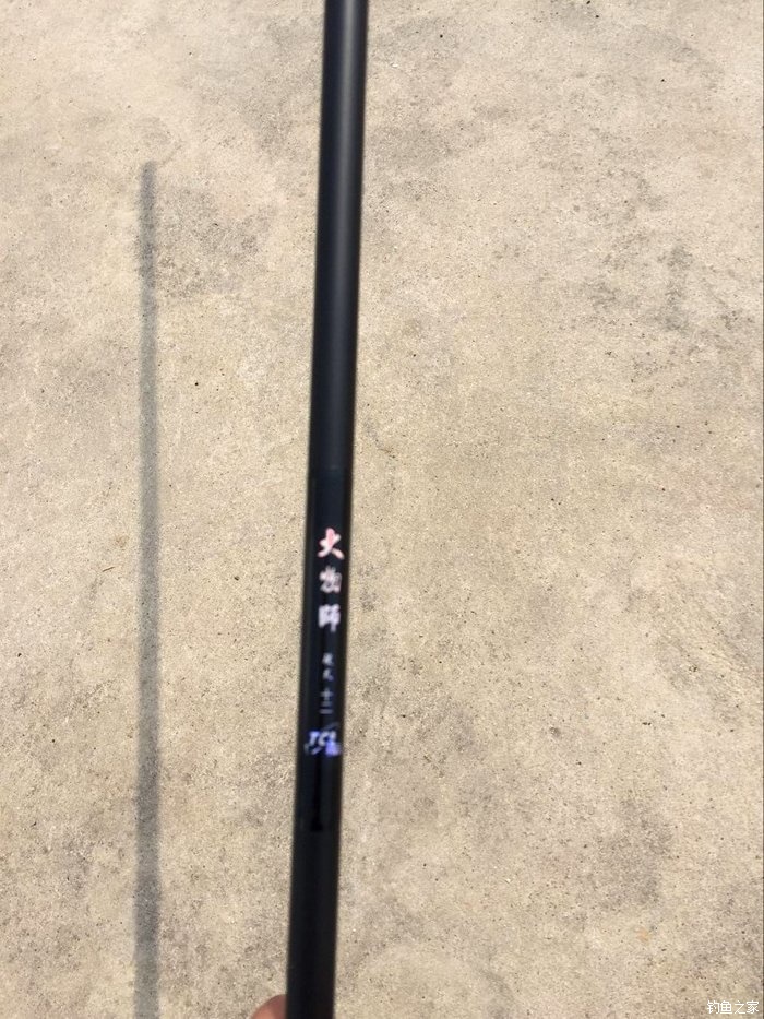 春天钓鲫鱼,春天钓黑坑新鱼