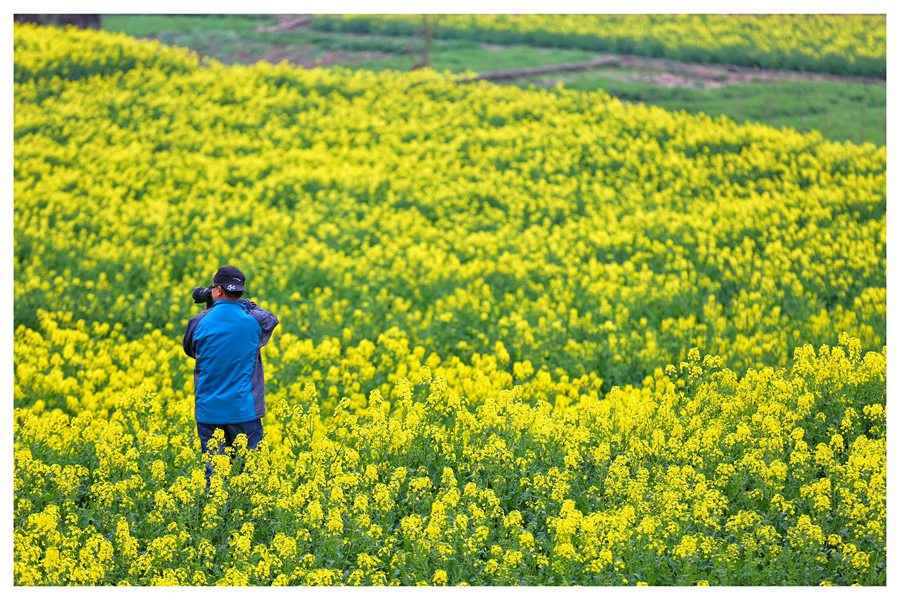 聚焦陕西蓝田泄湖镇,蓝田县洩湖镇发展规划