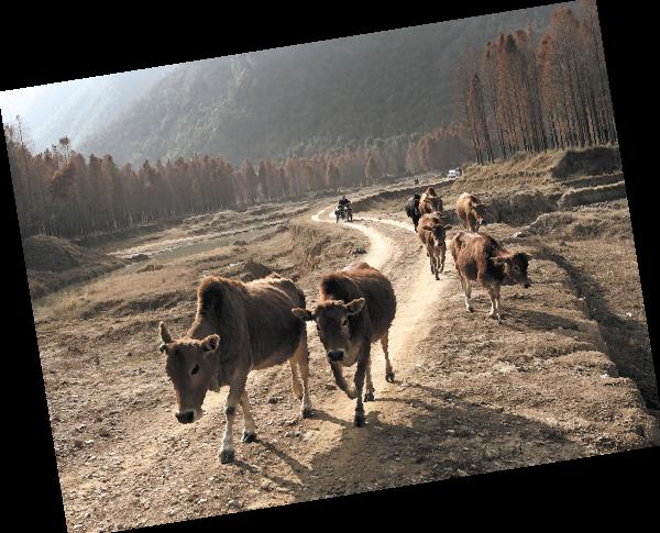 椒江潮人洪明辉，用相机记录乡愁