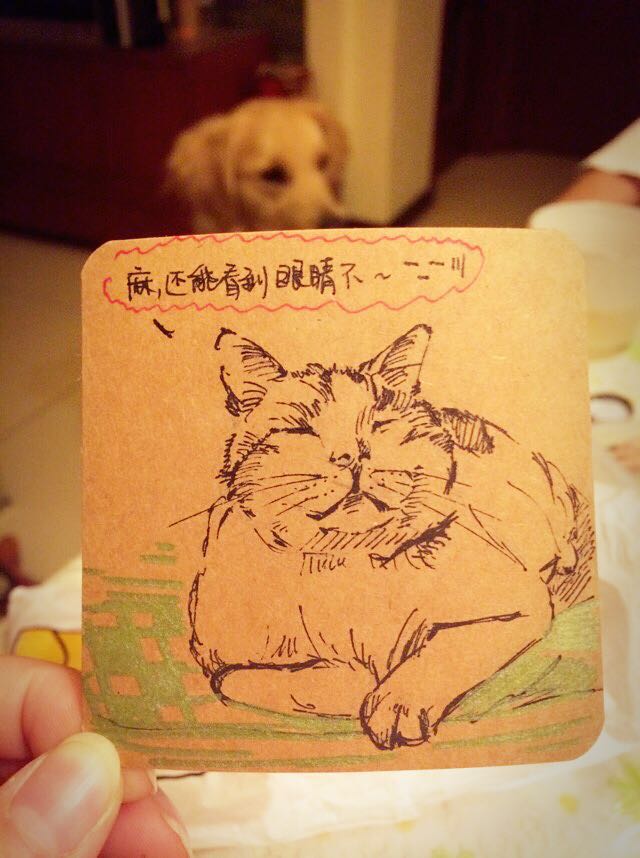 不是做网红而是做有内容的服务者,网红用户体验