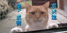 如何用windowsiso重装系统,windows系统怎么快速粘贴